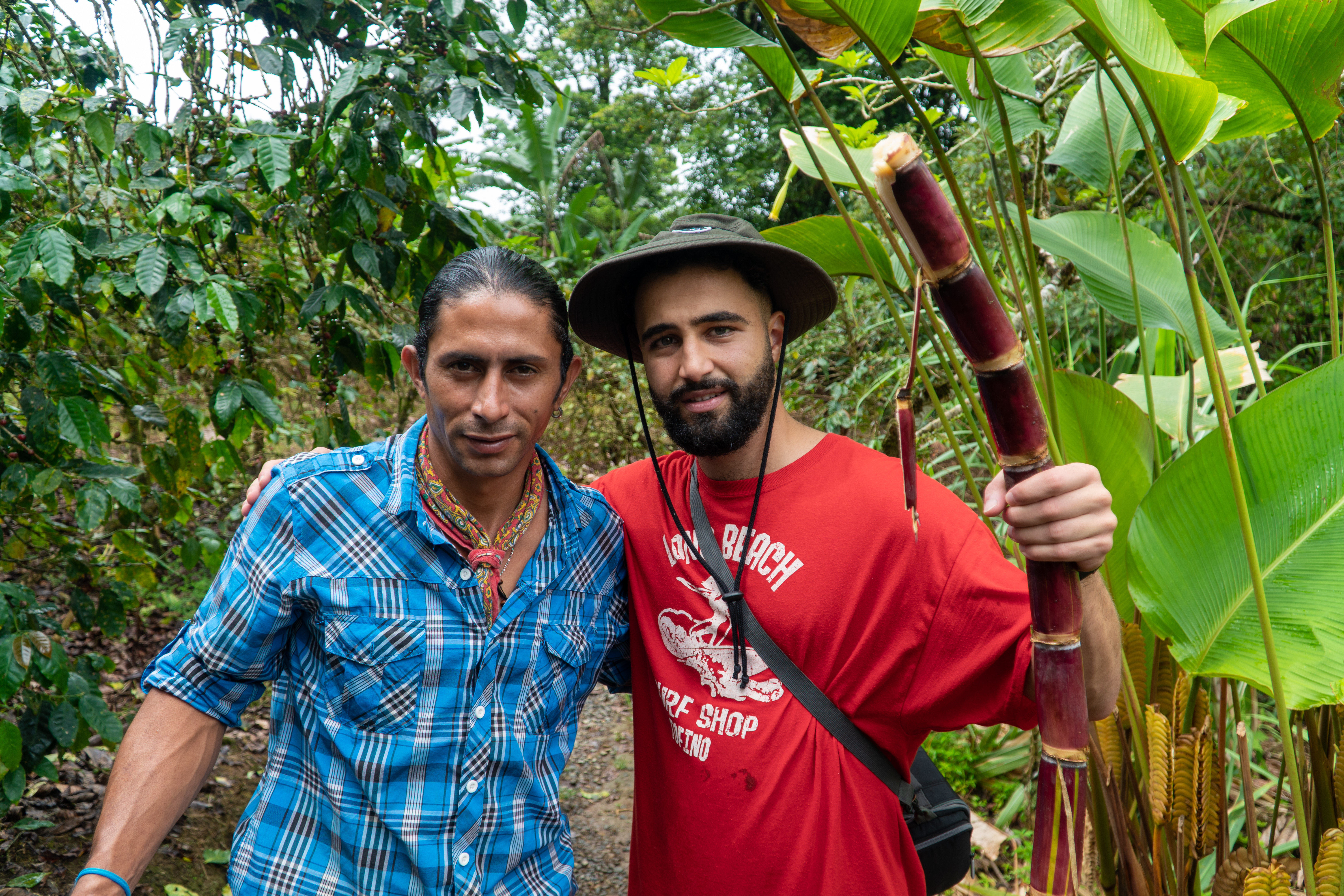 Coffee Tour in Costa Rica Alajuela Provience